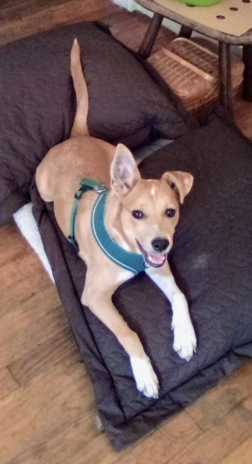 Lulu (1/22)