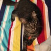 Fern (9/16/22)