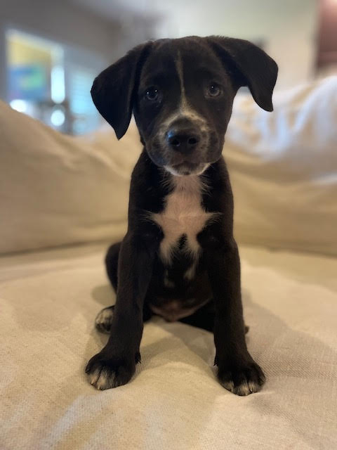 Luca (10/22)