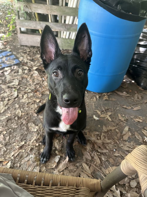 Zuko