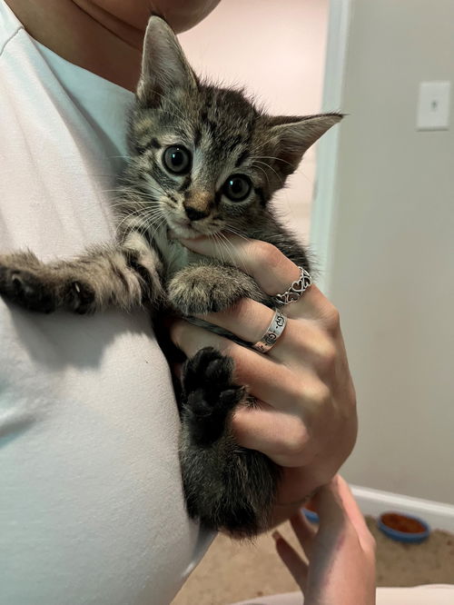 Ramona