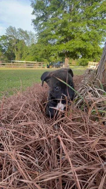 Theo image 3