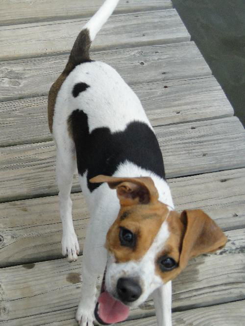 Lulabelle