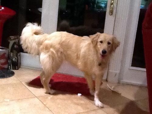 Murphy