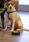 Sunny - Photo 3