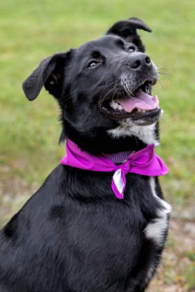 Photo 5 of Lilli