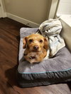 Lucy - Photo 6
