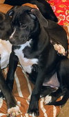 STORMI - Photo 1