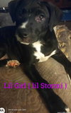 STORMI - Photo 2