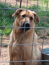FENGEER - Photo 1