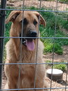 FENGEER - Photo 2