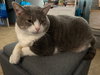 Kevin - Photo 1