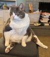 Kevin - Photo 2