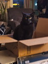 Endy(Enderman) - Photo 3