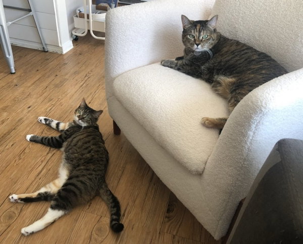 Kiki