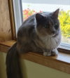 Michee - Photo 3