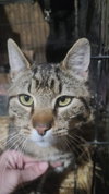 Jasper - Photo 1