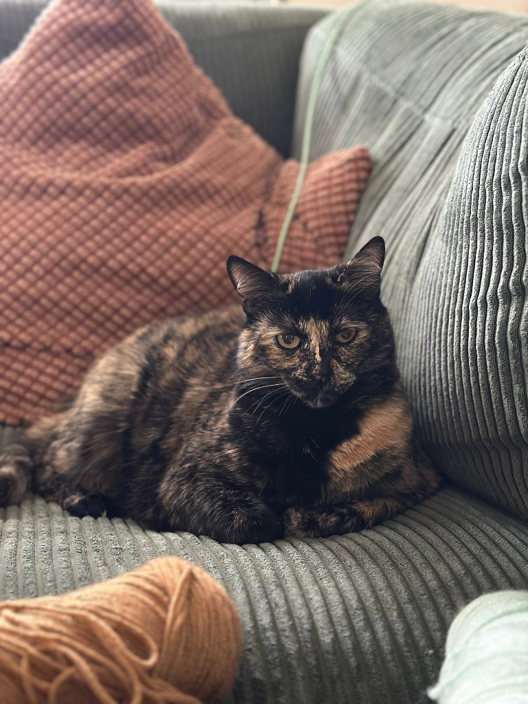 Tootsie