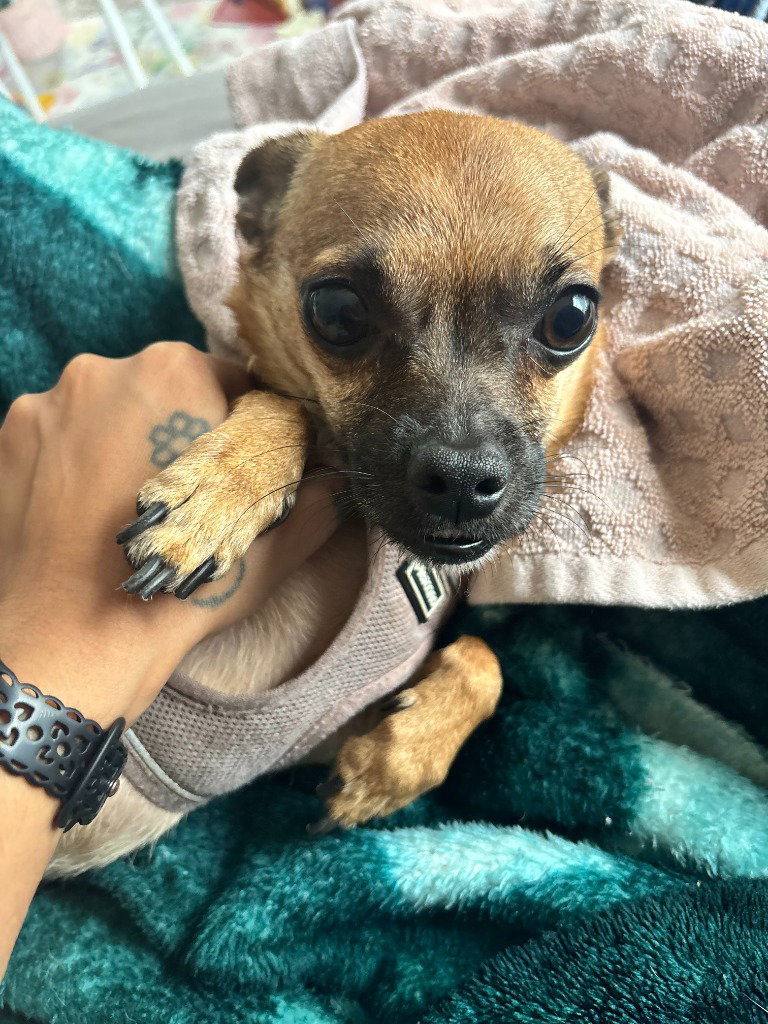 RALLO