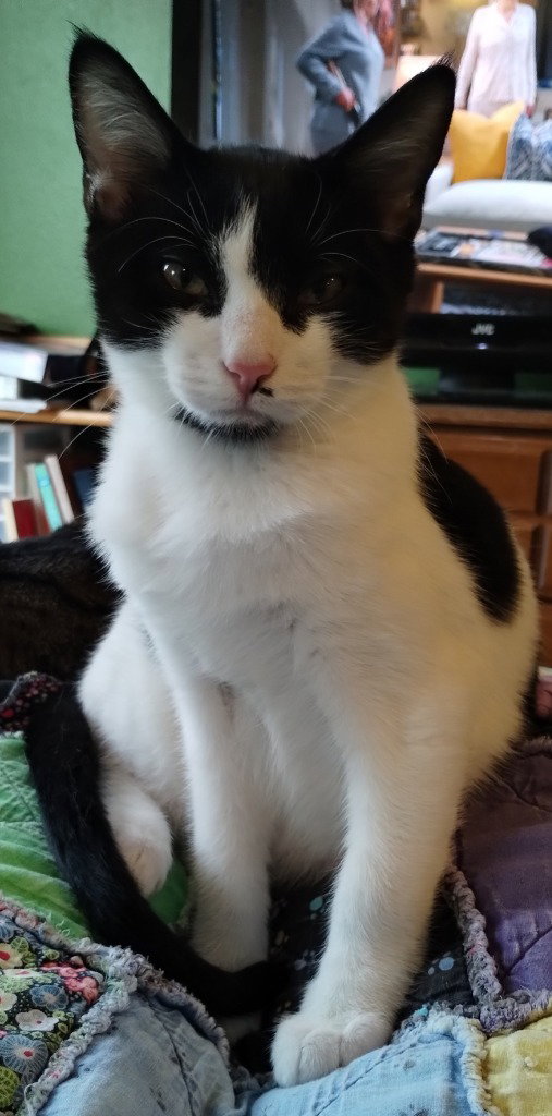 Figaro