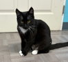Xena - Photo 3