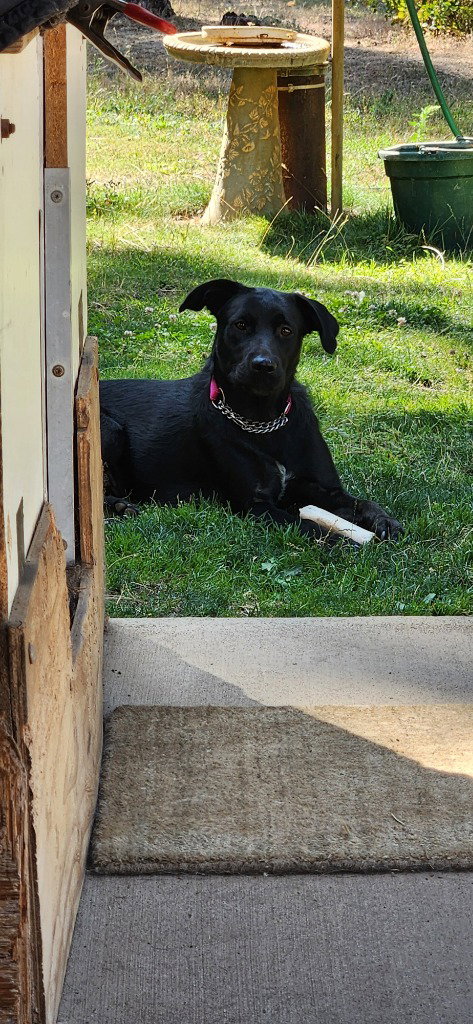 Carmen photo 2