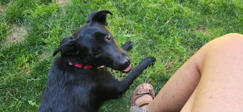 Carmen photo 3