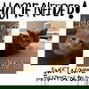 adoptable Cat in , MS named ZCL-C-GingerandLucy