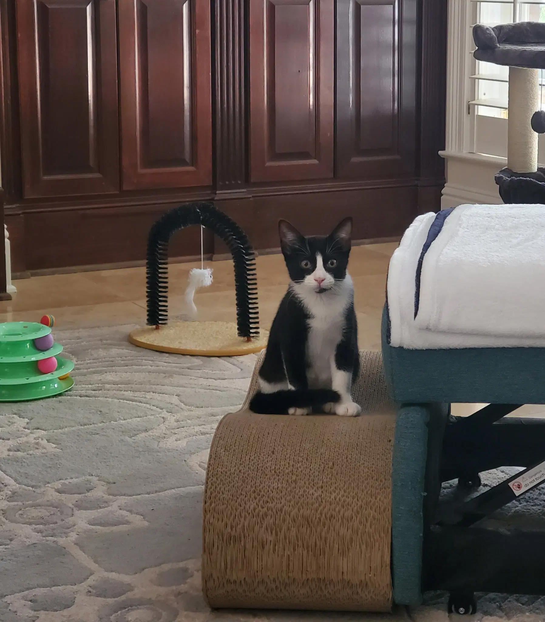 Minnie image 4