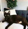 Ever - Photo 2
