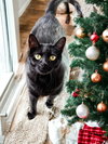 Missy - Photo 3