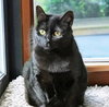 Missy - Photo 1