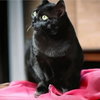 Missy - Photo 2