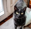 Missy - Photo 3
