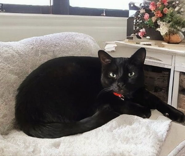 Binx