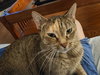 Moka - Photo 5