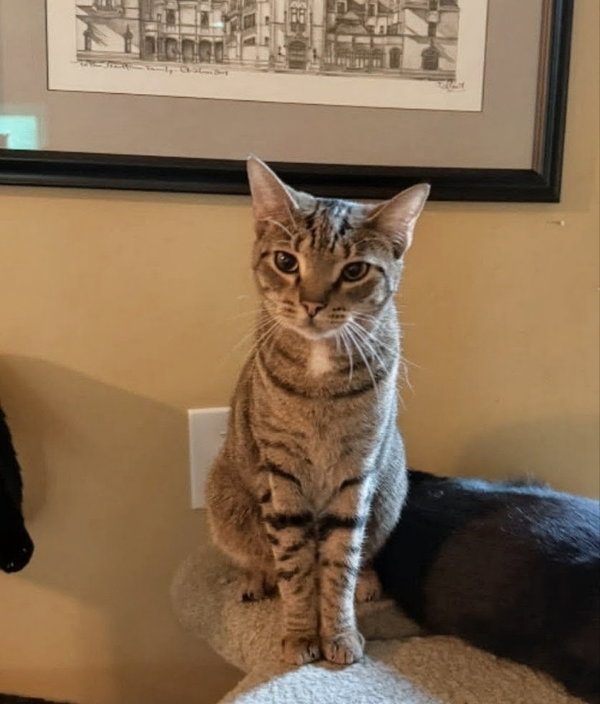 Leo