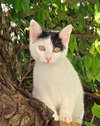 Missy - Photo 3