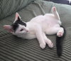 Missy - Photo 4