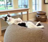 Mozzarella - Photo 1