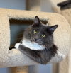 Stormy - Photo 1
