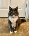 Stormy - Photo 3
