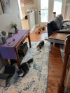 Stormy - Photo 4