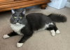 Stormy - Photo 5