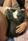 Stormy - Photo 6