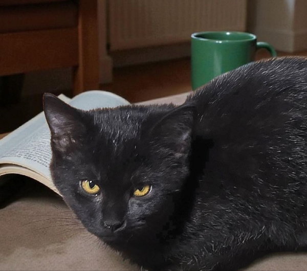 Luna
