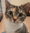 Molly - Photo 1