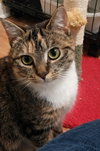 Molly - Photo 7