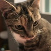 Molly - Photo 8