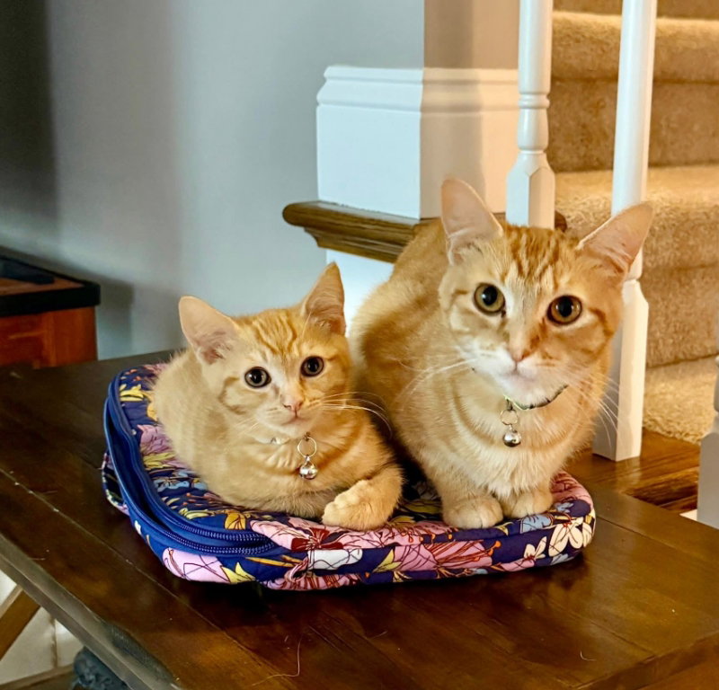 Dutchess and Peaches